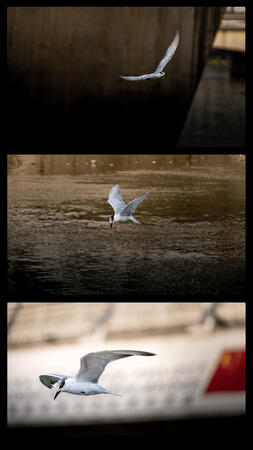 Untitled Untitled